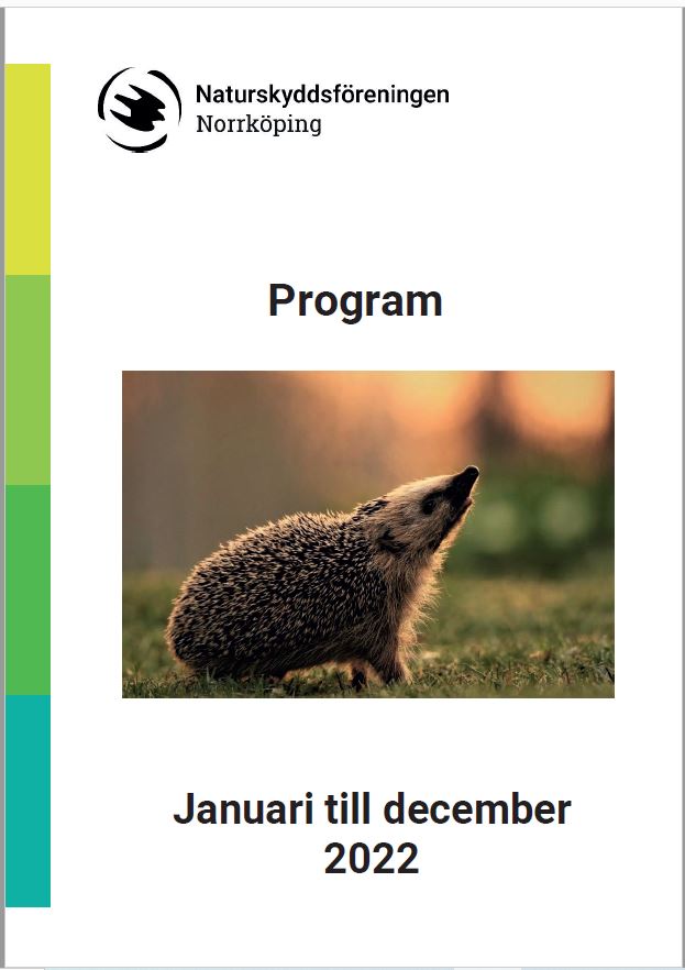 Framsidan av programmet för 2022